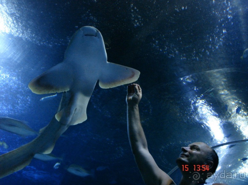 Поездка  Тай 14!!!