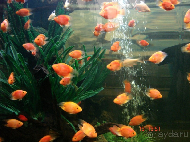 Поездка  Тай 14!!!