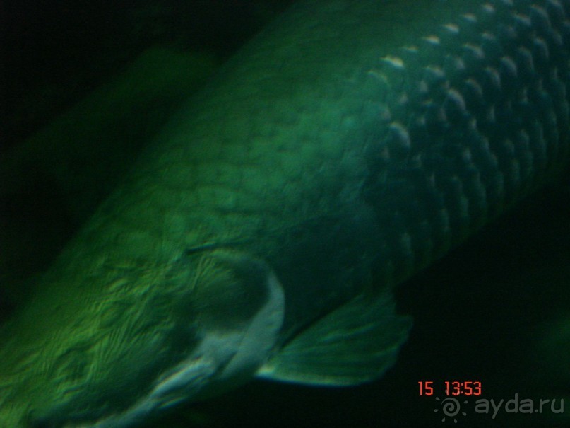 Поездка  Тай 14!!!