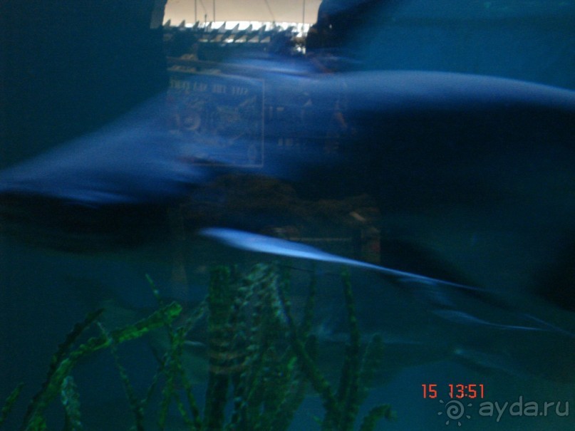 Поездка  Тай 14!!!