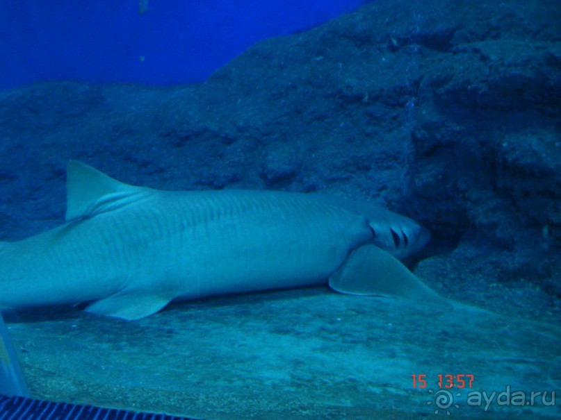 Поездка  Тай 14!!!