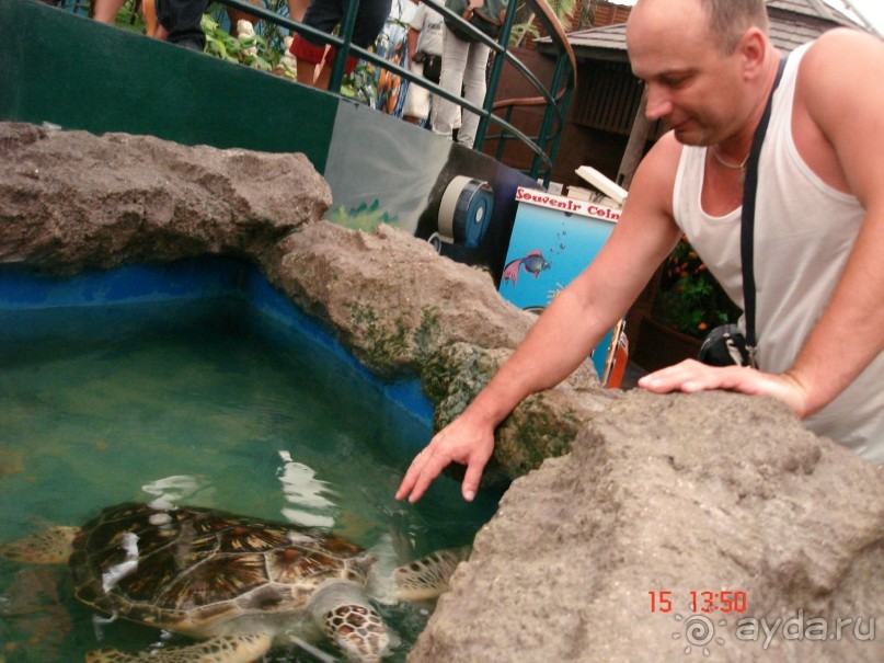 Поездка  Тай 14!!!