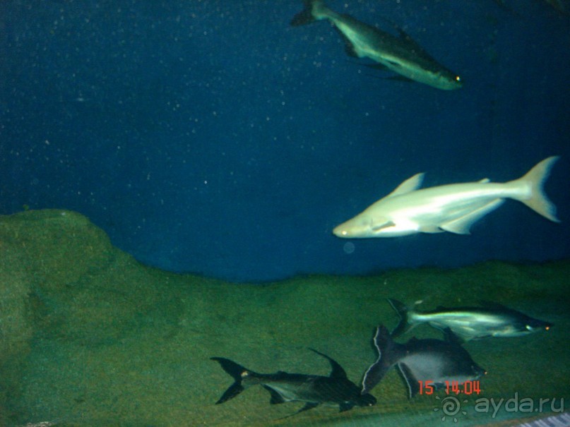 Поездка  Тай 14!!!