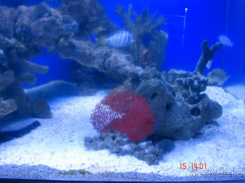 Поездка  Тай 14!!!