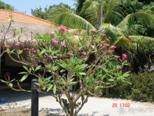 Поездка в Тай 18!!!