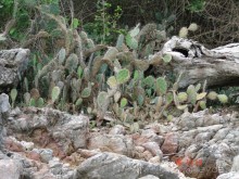 Поездка в Тай 13!!!