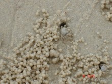 Поездка в Тай 13!!!