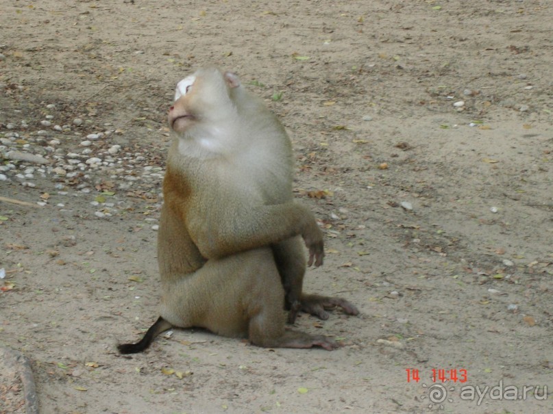 Поездка в Тай 13!!!