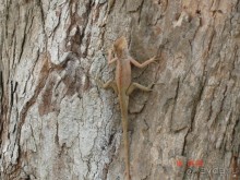 Поездка в Тай 13!!!