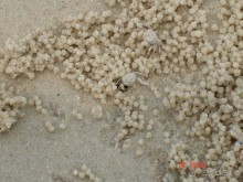 Поездка в Тай 13!!!