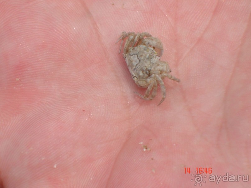 Поездка в Тай 13!!!