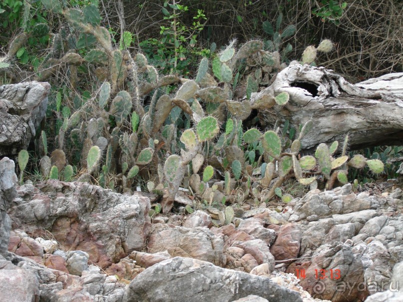 Поездка в Тай 13!!!