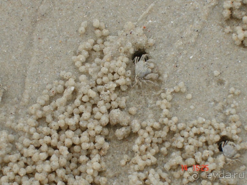 Поездка в Тай 13!!!