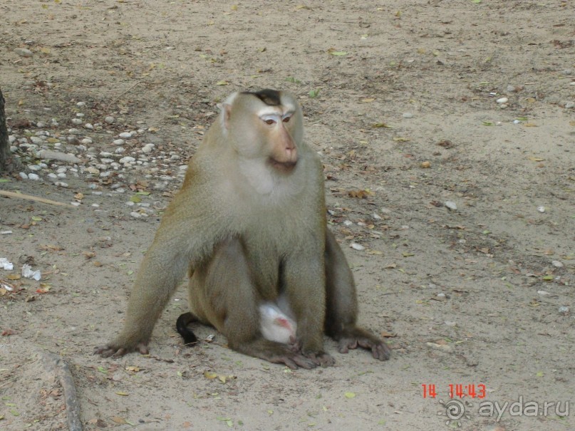 Поездка в Тай 13!!!