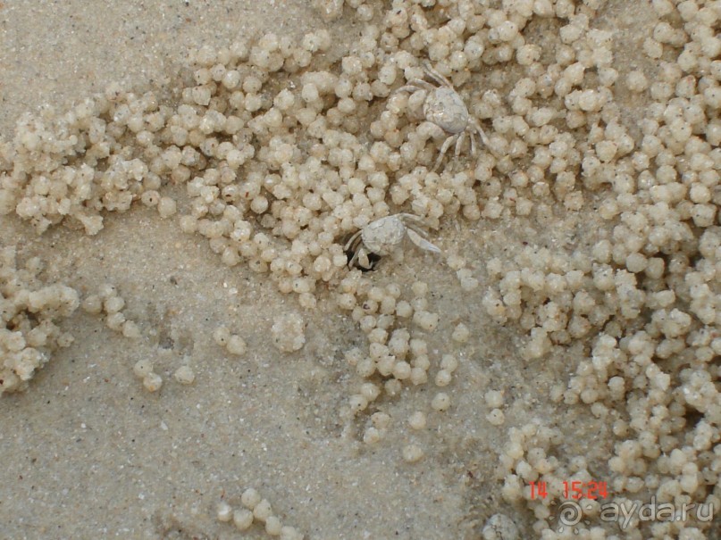 Поездка в Тай 13!!!