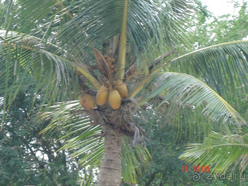 Поездка в Тай 13!!!