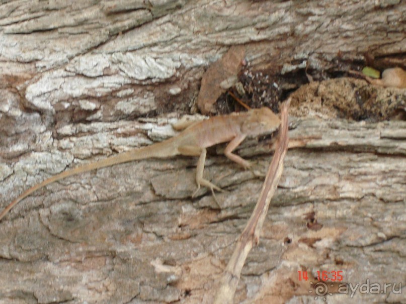 Поездка в Тай 13!!!