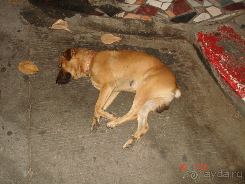 Поездка в Тай 13!!!