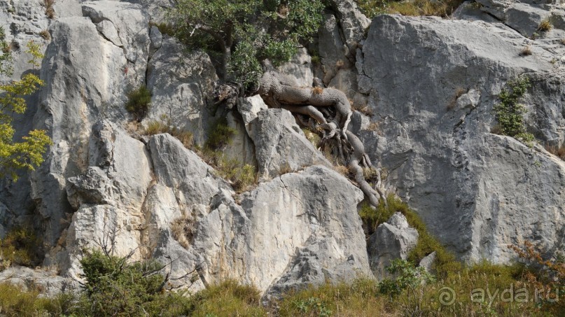 фото Симеиза