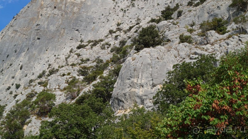 фото Симеиза