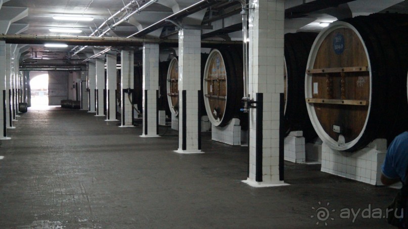 КРЫМ.СЕНТЯБРЬ 2015. ЯЛТА .