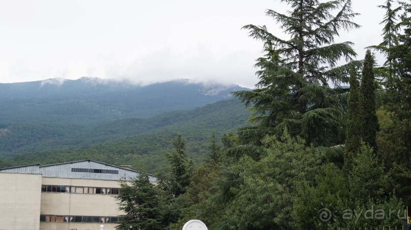 КРЫМ.СЕНТЯБРЬ 2015. ЯЛТА .