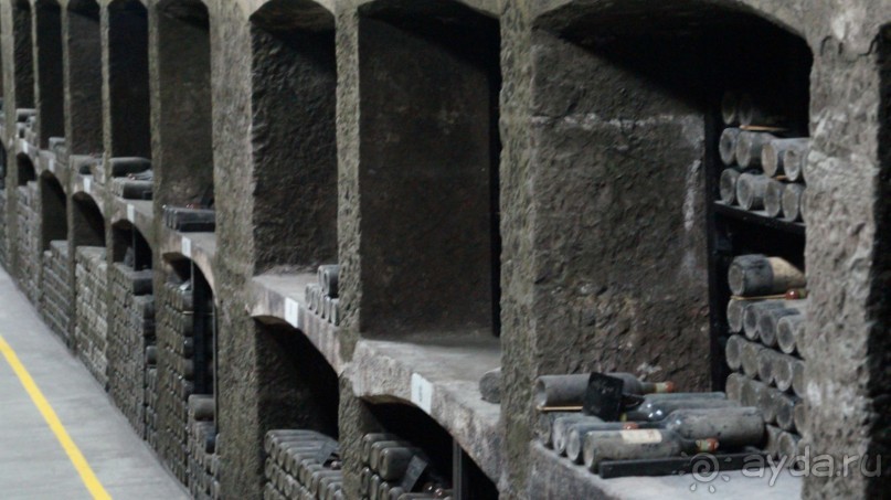 КРЫМ.СЕНТЯБРЬ 2015. ЯЛТА .