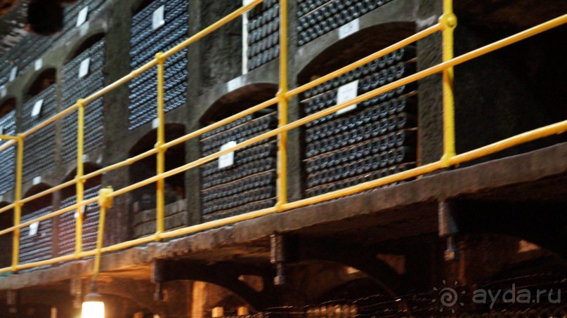 КРЫМ.СЕНТЯБРЬ 2015. ЯЛТА .