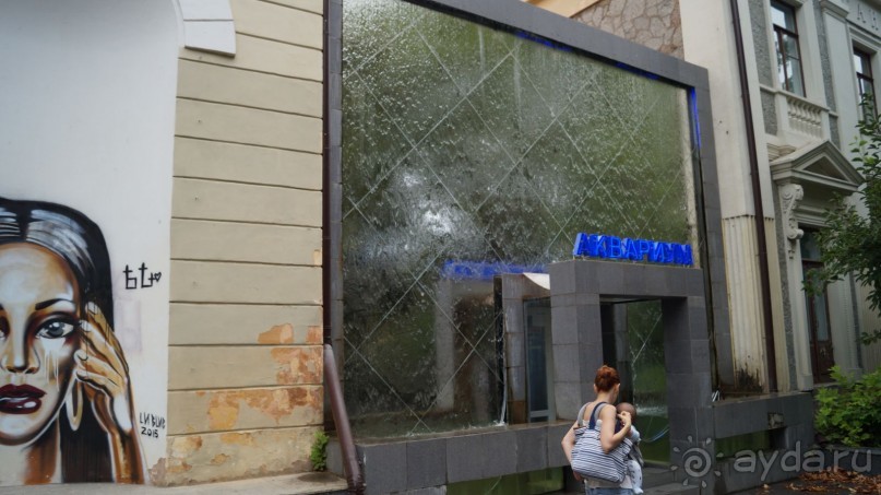 КРЫМ.СЕНТЯБРЬ 2015. ЯЛТА .