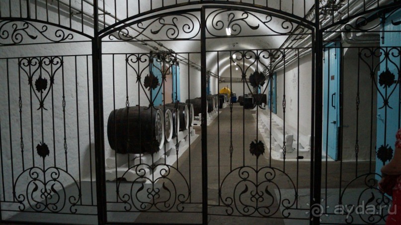 КРЫМ.СЕНТЯБРЬ 2015. ЯЛТА .