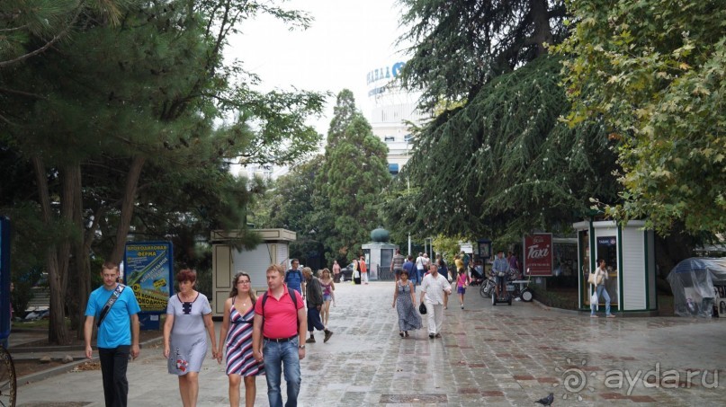 КРЫМ.СЕНТЯБРЬ 2015. ЯЛТА .