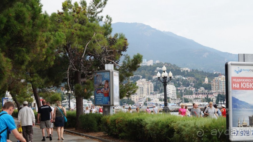 КРЫМ.СЕНТЯБРЬ 2015. ЯЛТА .