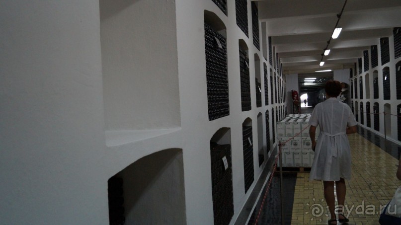 КРЫМ.СЕНТЯБРЬ 2015. ЯЛТА .