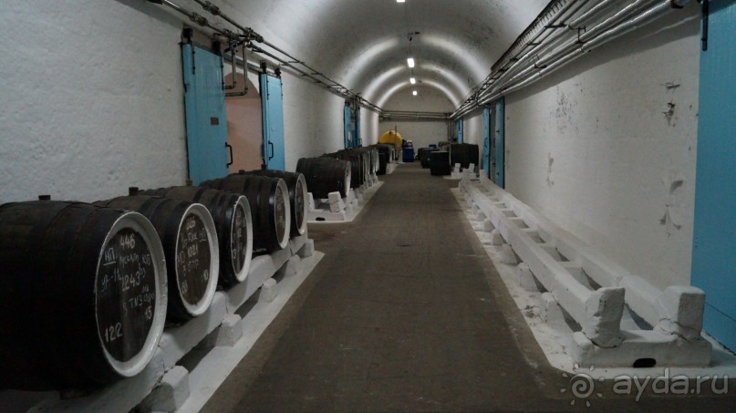 КРЫМ.СЕНТЯБРЬ 2015. ЯЛТА .