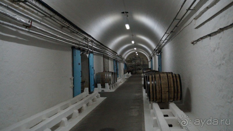 КРЫМ.СЕНТЯБРЬ 2015. ЯЛТА .