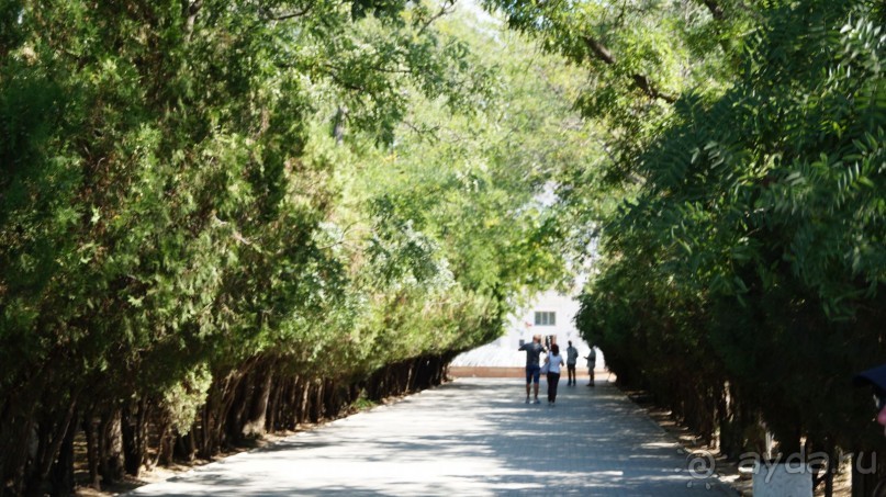 КРЫМ.СЕНТЯБРЬ 2015. СЕВАСТОПОЛЬ
