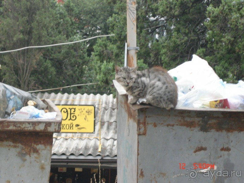 КРЫМ. СЕНТЯБРЬ 2015