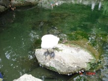 КРЫМ. СЕНТЯБРЬ 2015