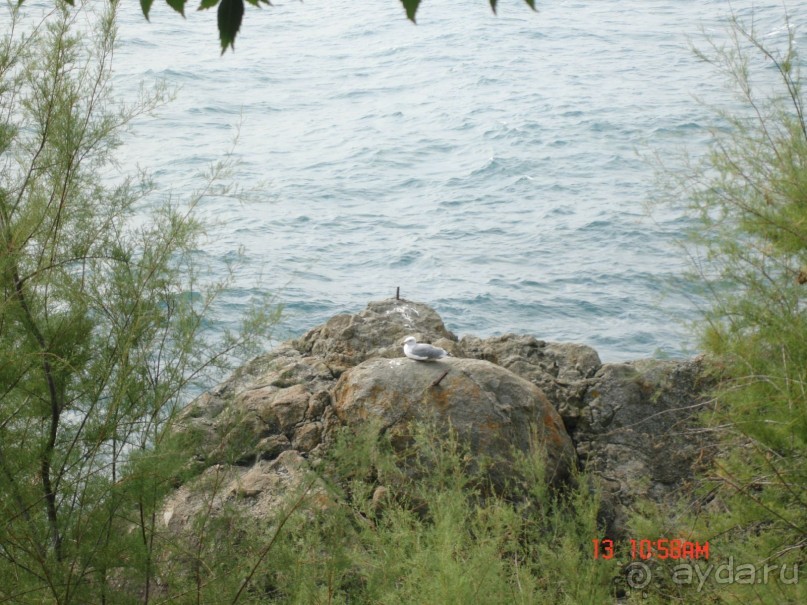 КРЫМ. СЕНТЯБРЬ 2015