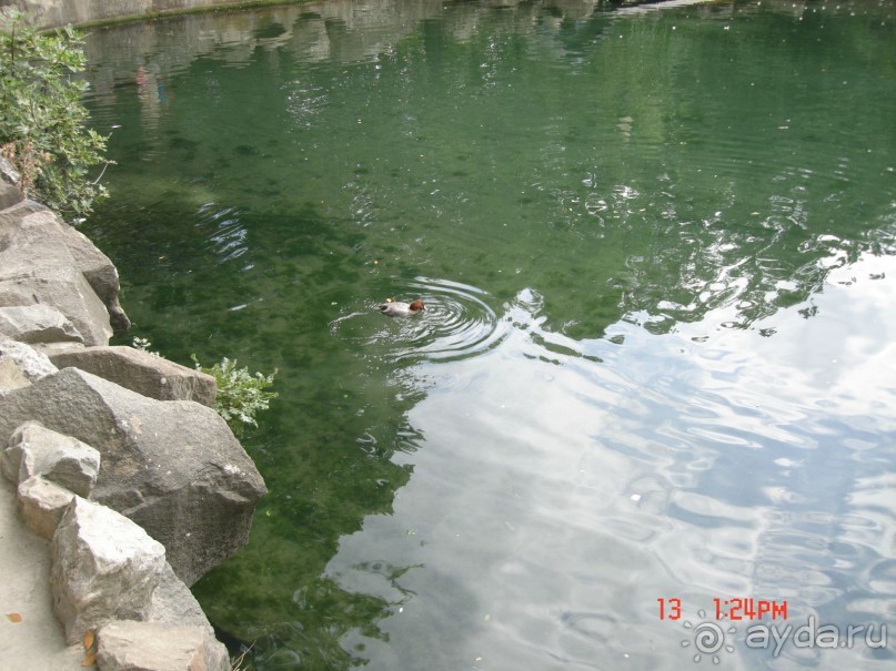 КРЫМ. СЕНТЯБРЬ 2015