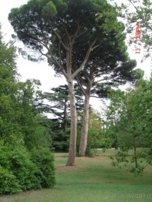 КРЫМ. СЕНТЯБРЬ 2015