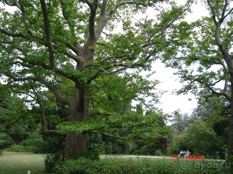 КРЫМ. СЕНТЯБРЬ 2015