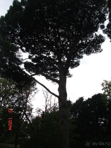 КРЫМ. СЕНТЯБРЬ 2015