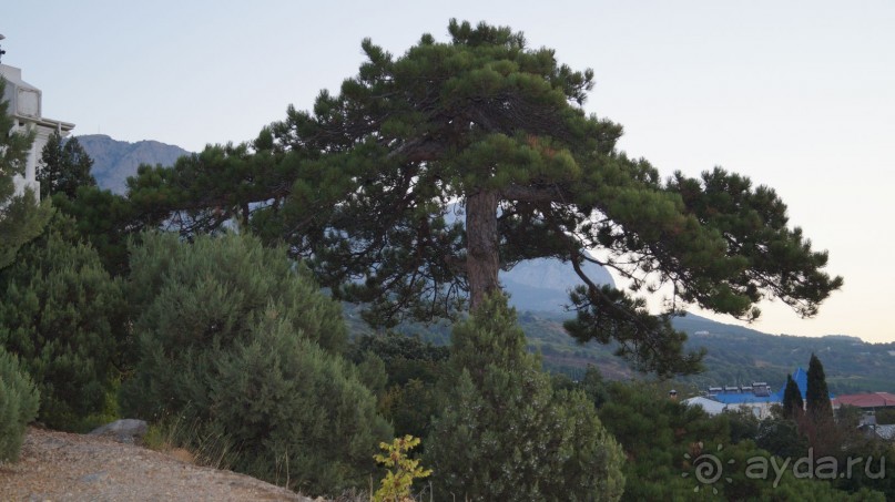 КРЫМ. СЕНТЯБРЬ 2015