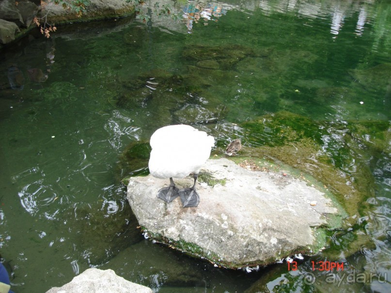 КРЫМ. СЕНТЯБРЬ 2015