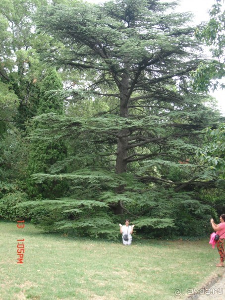 КРЫМ. СЕНТЯБРЬ 2015