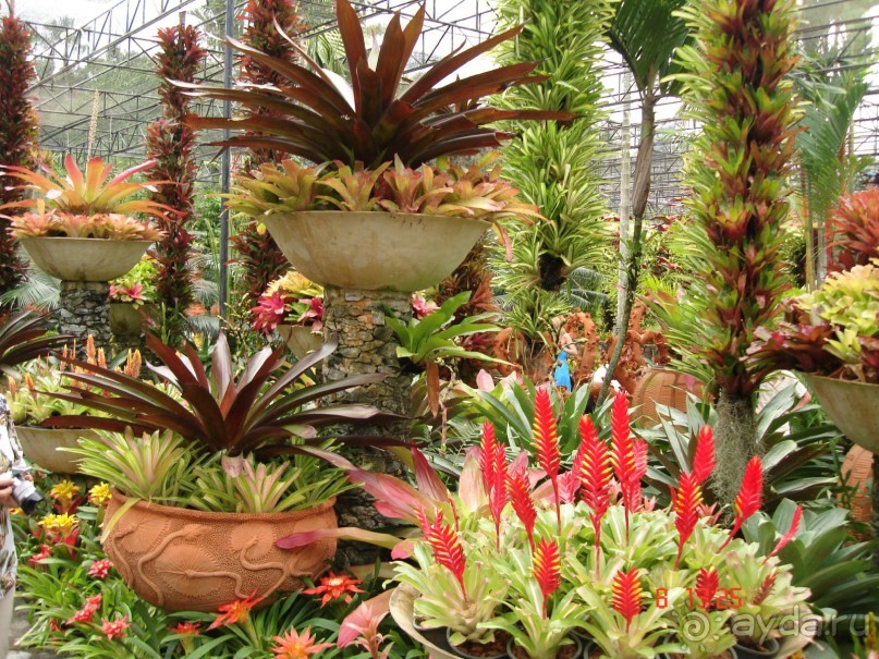 Поездка в Тай 7!!!