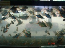 Поездка в Тай 7!!!