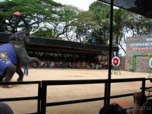 Поездка в Тай 7!!!