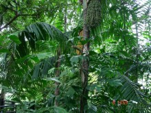 Поездка в Тай 7!!!